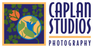 Caplan Studios Photography